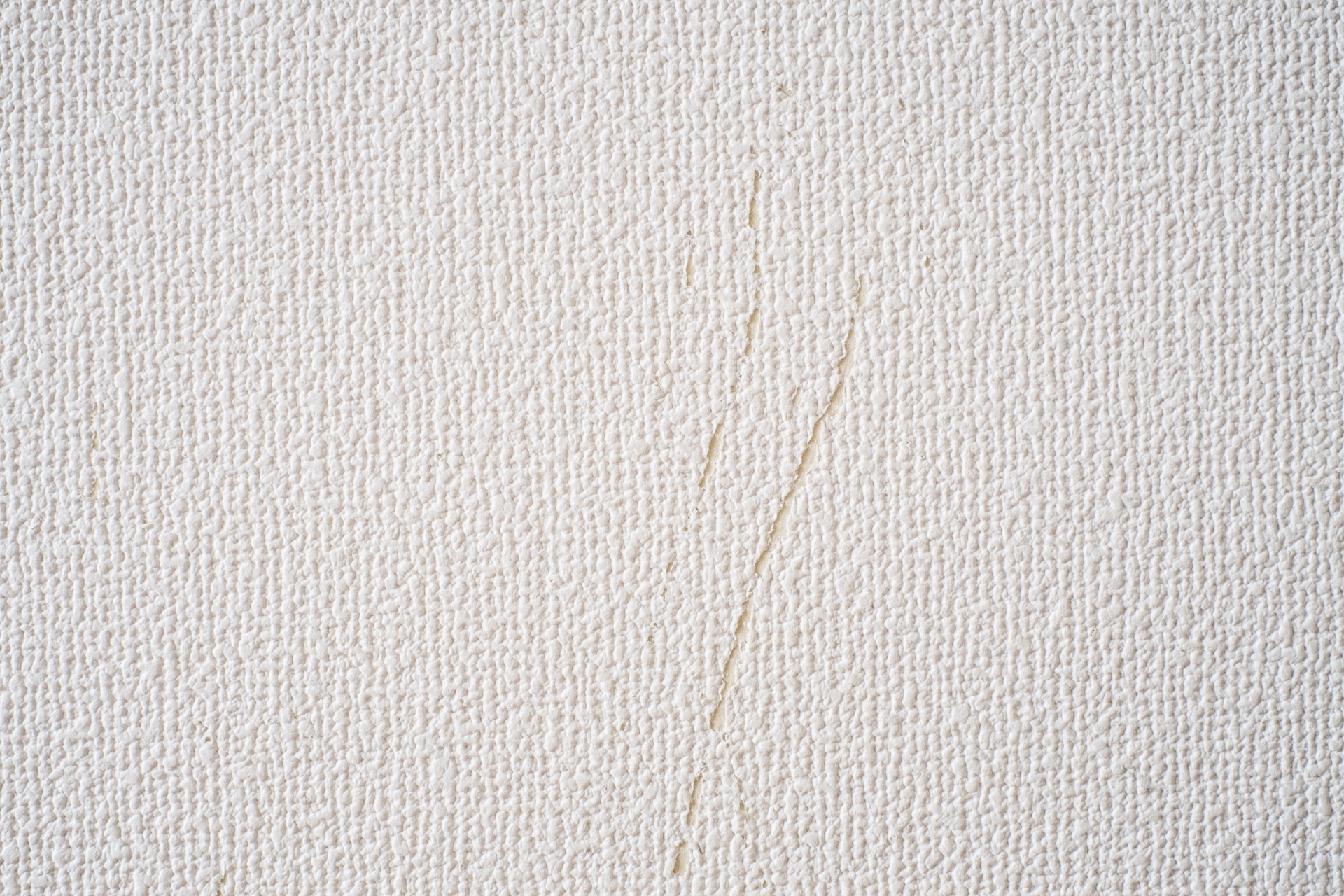 郡山市　おうちの壁穴リペア工房　ペットの壁紙ひっかき傷イメージ画像