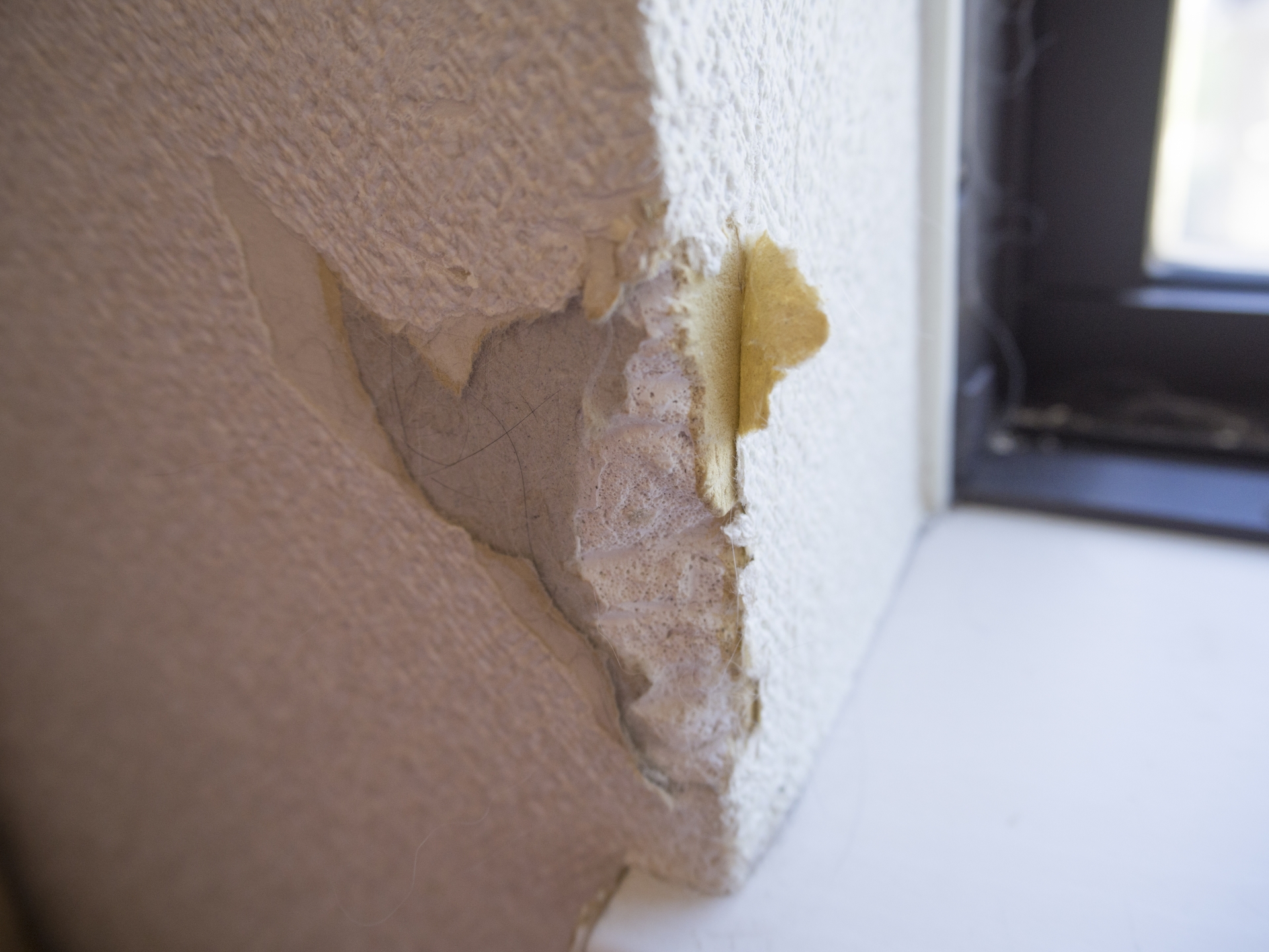 郡山市　おうちの壁穴リペア工房　ペットの噛み傷イメージ写真