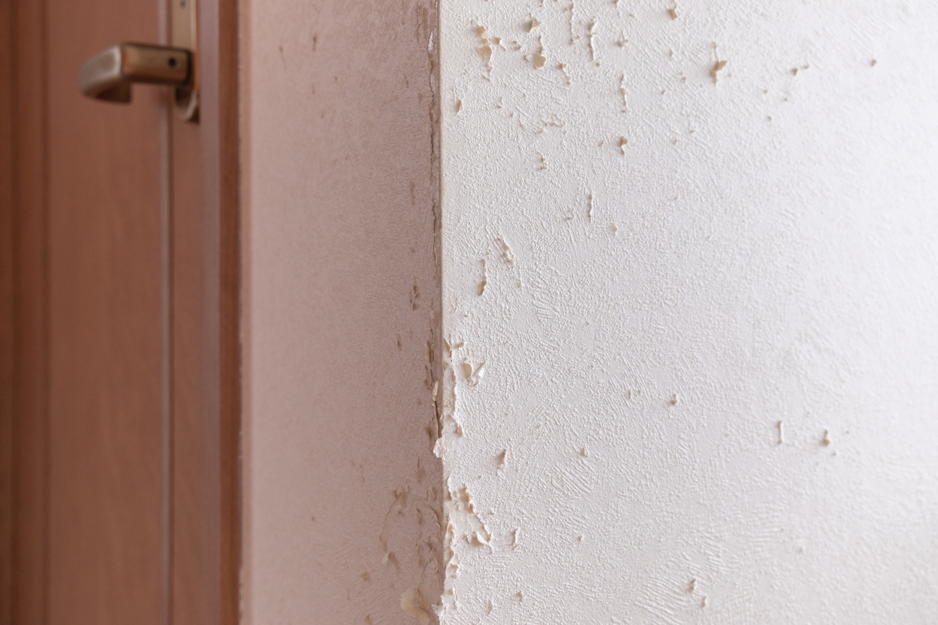 郡山市　おうちの壁穴リペア工房　壁紙ペットキズイメージ写真