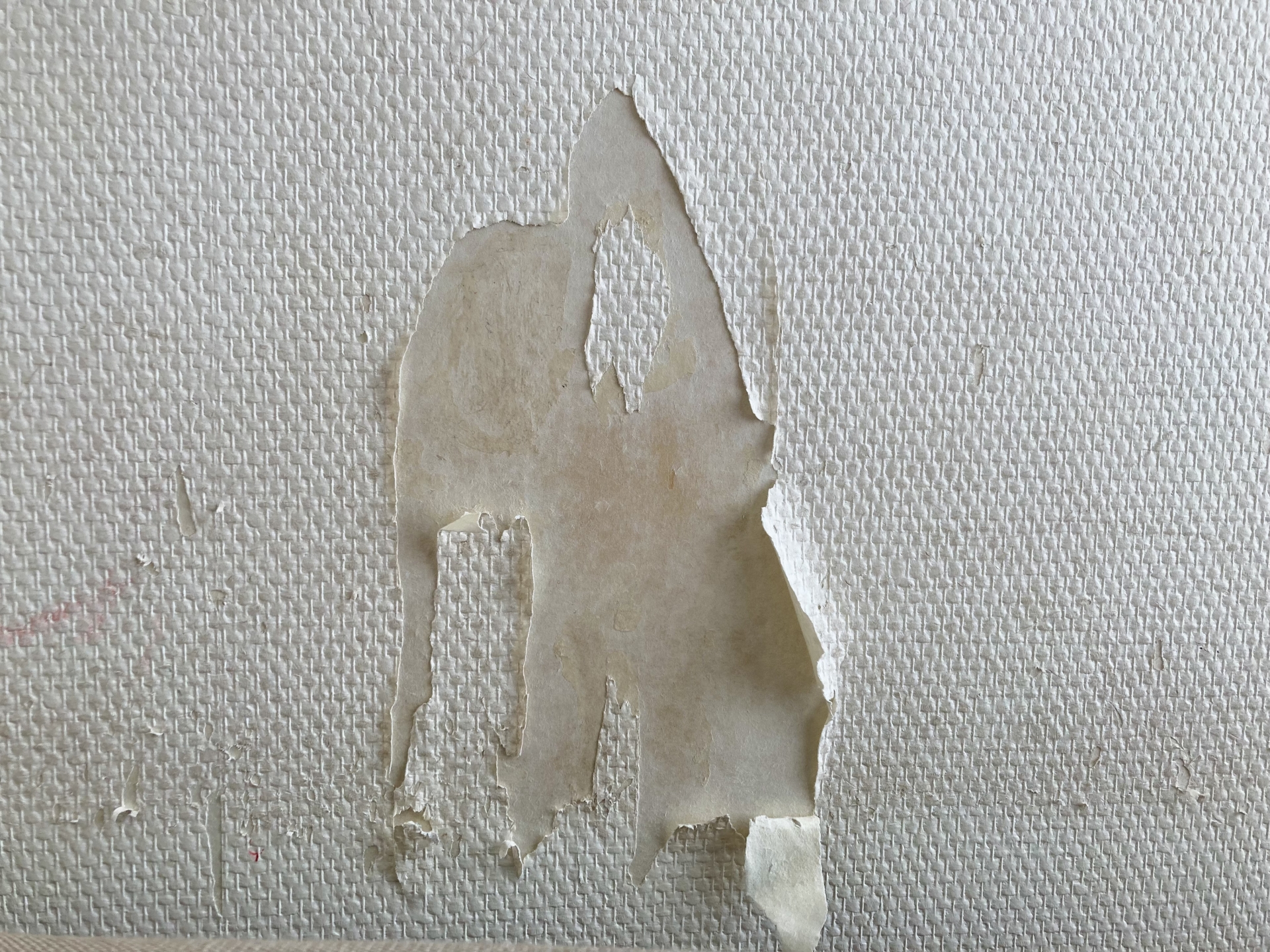 郡山市　おうちの壁穴リペア工房　クロスの破れイメージ写真