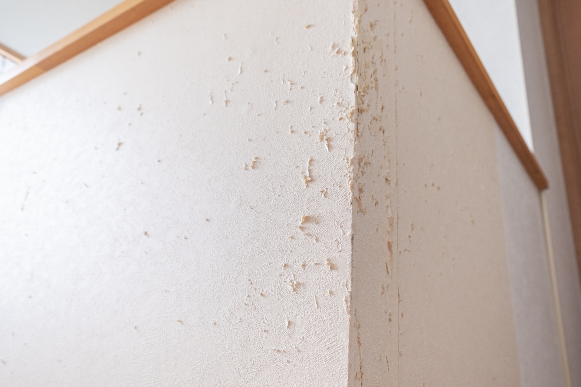 郡山市　おうちの壁穴リペア工房　　ペットによるクロスのひっかき傷イメージ写真